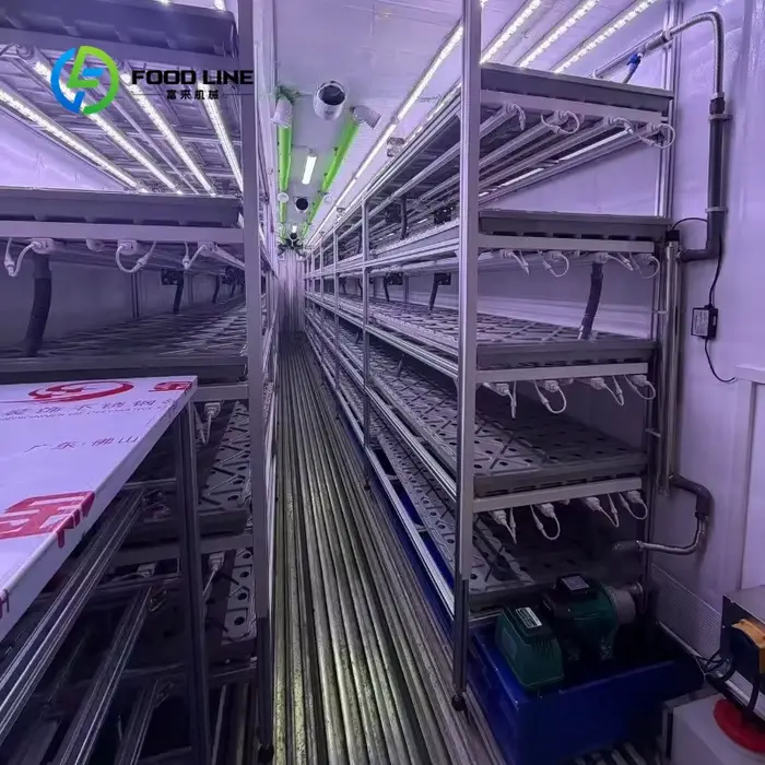 Grande serre agricole à simple travée avec panneaux PIR et système intelligent de culture de champignons pour ferme commerciale et usine de plantes