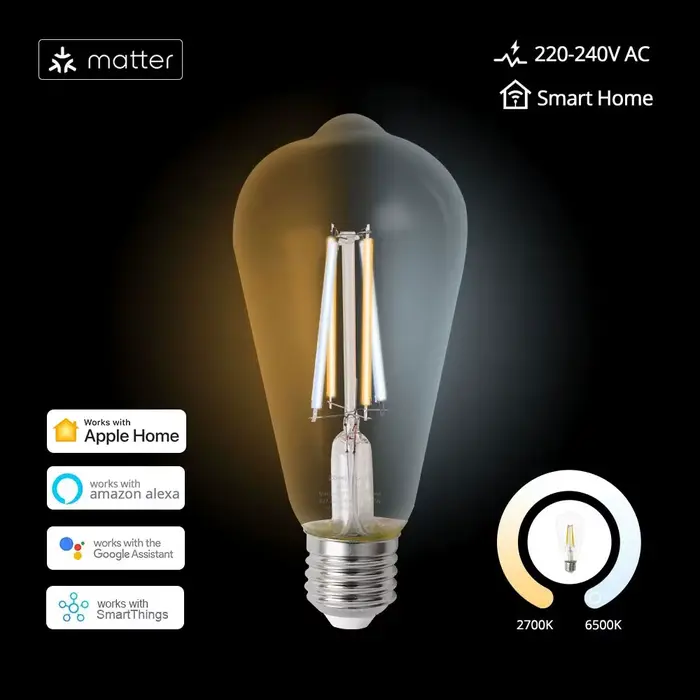 Ampoule LED à filament WiFi Matter E27