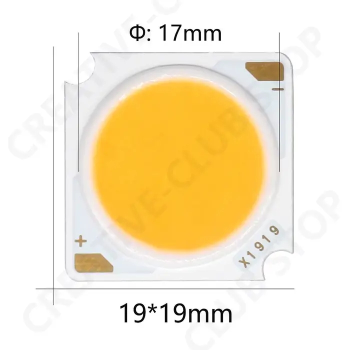 10 pièces 1919 10W 20W 30W 40W LED COB puce Diode électroluminescente importée Bridgelux puce de cri