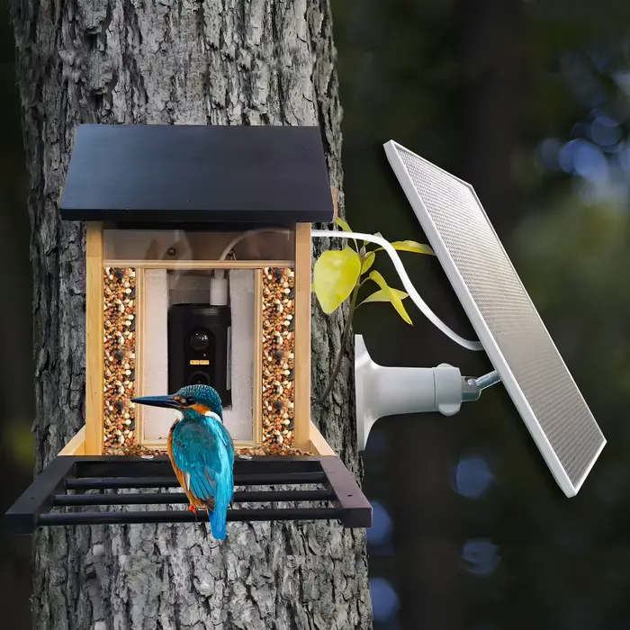Mangeoire pour oiseaux 1080P avec caméra HD, batterie intégrée, solaire, faible puissance, Vision no