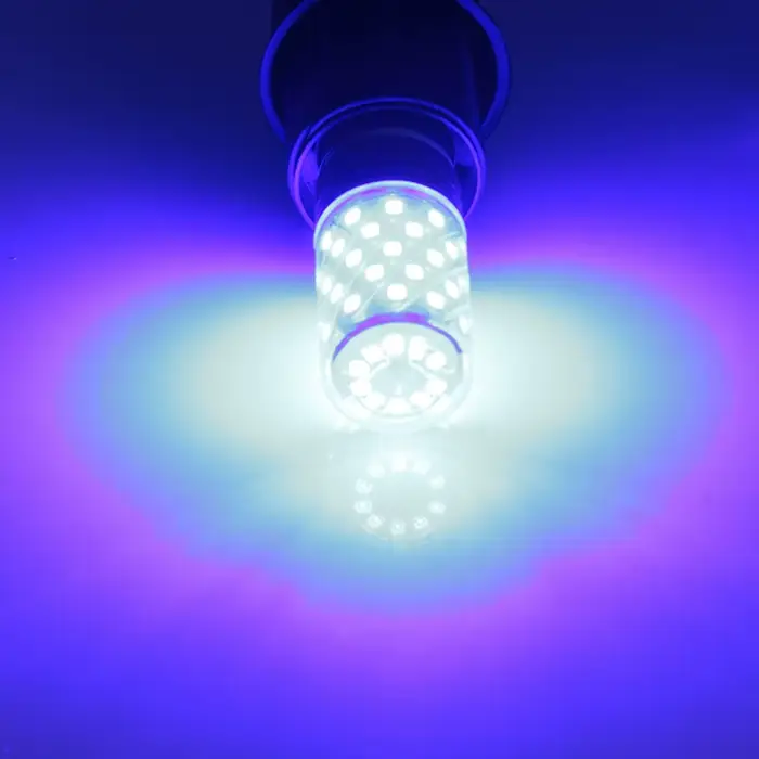 Bombilla B22 12W Led ampoule de maïs 12v 24v 36v 48v 60v 110v 220v projecteur basse tension lampe à 