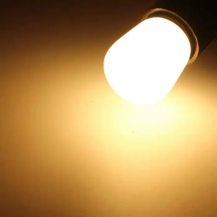 Mini ampoule de réfrigérateur E14 E12 2W DC12V/24V, ampoule LED blanc froid/chaud, lampe de réfrigér